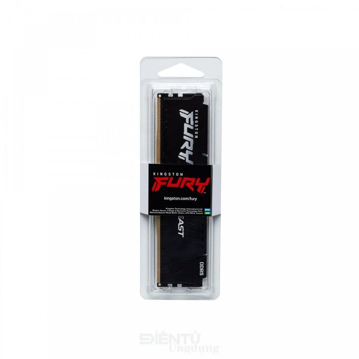 SSD Kingston FURY Renegade G5