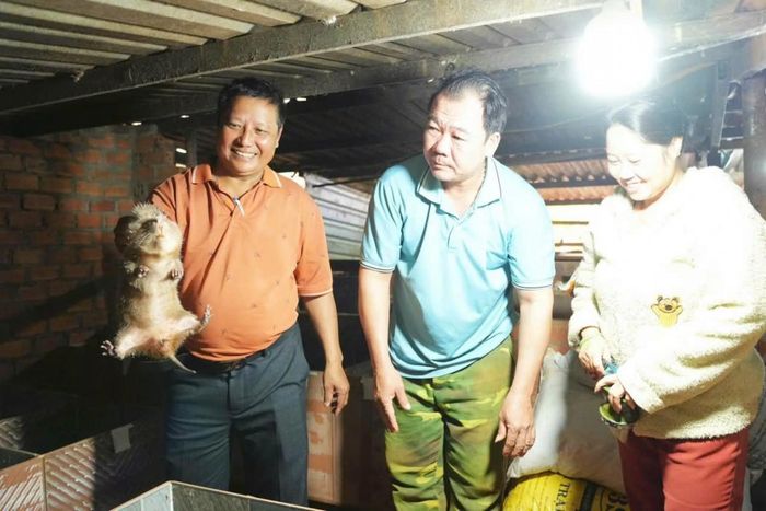 Mô hình nuôi dúi đang mở ra một hướng phát triển kinh tế mới cho gia đình anh Thảo, chị Hoa