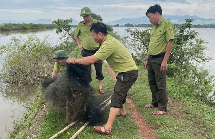 Kiểm tra, tháo gỡ các phương tiện có khả năng được sử dụng để bẫy, bắt chim trời...