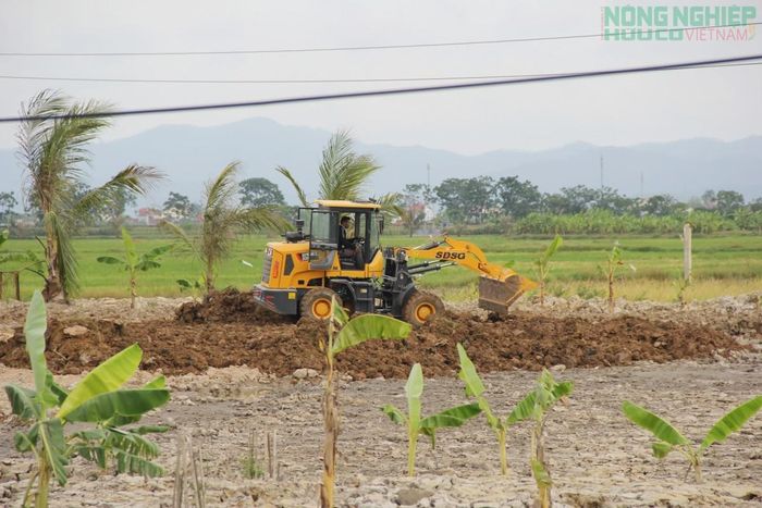 Ông Thảo đã có hành vi đổ đất, đất có lẫn đá, san lấp nâng cao bề mặt của đất trồng lúa tại nhiều thửa đất, thuộc tờ bản đồ 05 với diện tích 4.085,2m2. (Ảnh tư liệu)