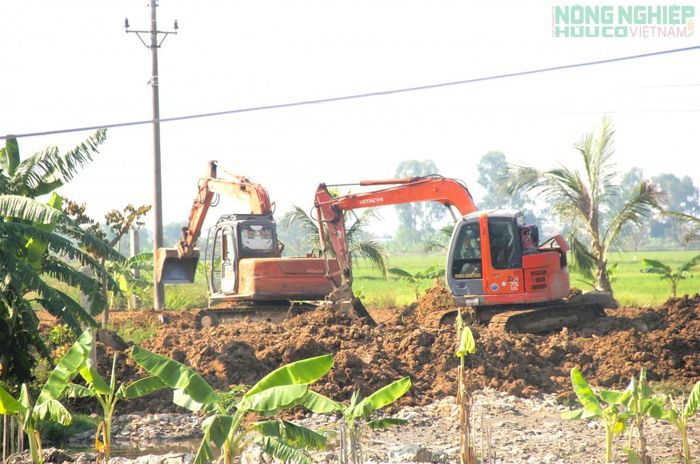 Ông Bùi Văn Thảo bị chính quyền địa phương xử phạt 70 triệu đồng với hành vi "Hủy hoại đất dưới hình thức làm biến dạng địa hình...". (Ảnh tư liệu)