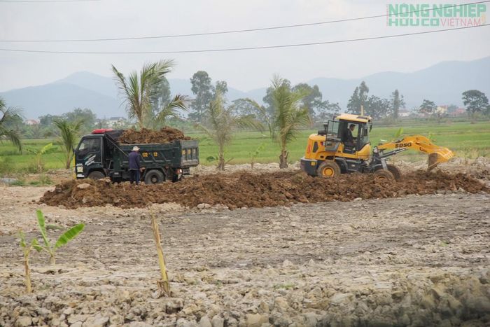Ông Bùi Văn Thảo đã tự ý san lấp đất nông nghiệp trái phép. (Ảnh tư liệu)