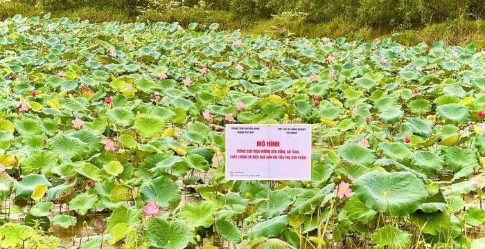 Cần lựa chọn những sản phẩm có lợi thế để tập trung đầu tư