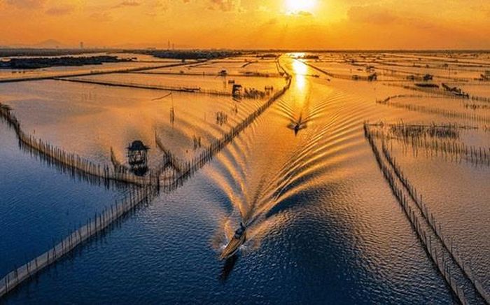 Huế có nhiều lợi thế để hình thành những chuỗi nông sản đặc trưng.