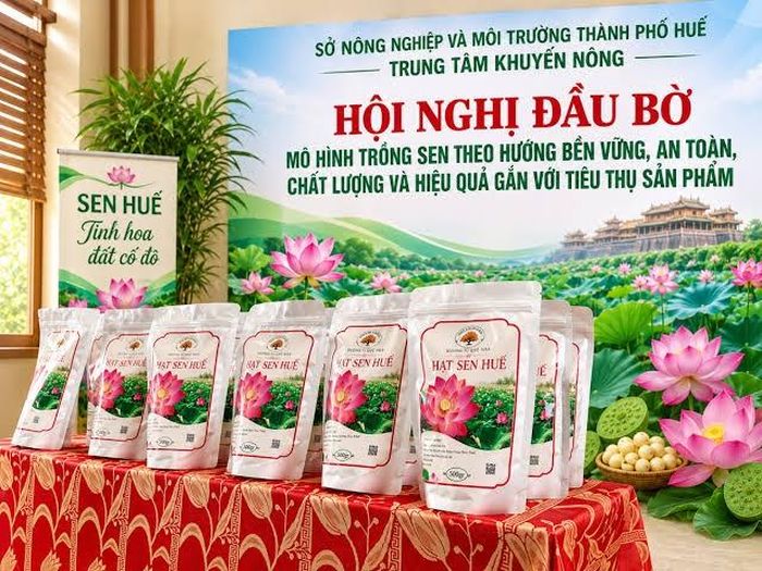 Ngành nông nghiệp Tp. Huế đã và đang triển khai nhiều giải pháp đồng bộ nhằm phát triển vùng nguyên liệu, nâng cao chất lượng sản phẩm...