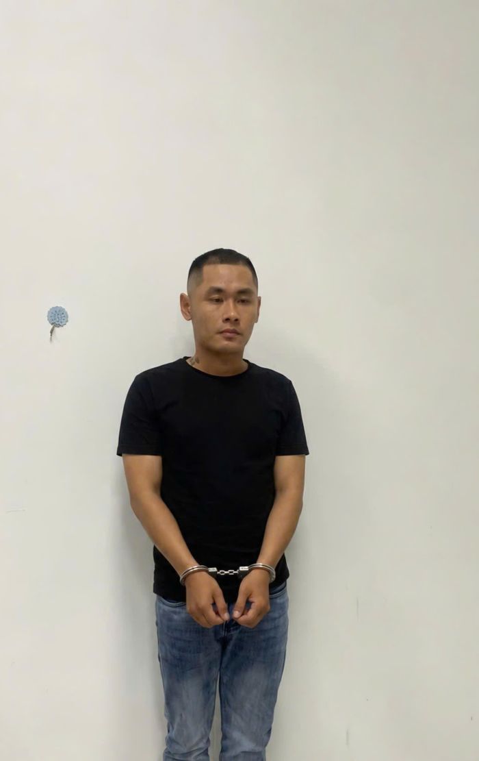 Công an bắt giữ Nguyễn Trí Hào.