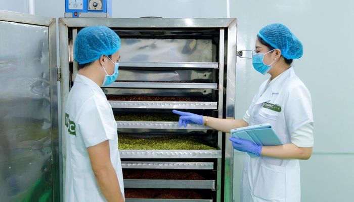 Quy trình sản xuất khép kín, không sử dụng hóa chất, đáp ứng chuỗi tiêu chí kỹ thuật khắt khe của Công ty Cổ phần Tập đoàn G.Organic. Ảnh: NH