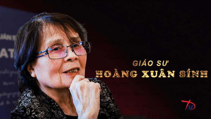 Bộ phim "Giáo sư Hoàng Xuân Sính" về nữ Giáo sư toán học đầu tiên của Việt Nam chiếu dịp này. Ảnh: DFS