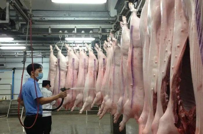 Các cơ sở giết mổ khi hoạt động phải được cấp phép theo quy định, đáp ứng điều kiện vệ sinh thú y, an toàn thực phẩm. Ảnh: PV