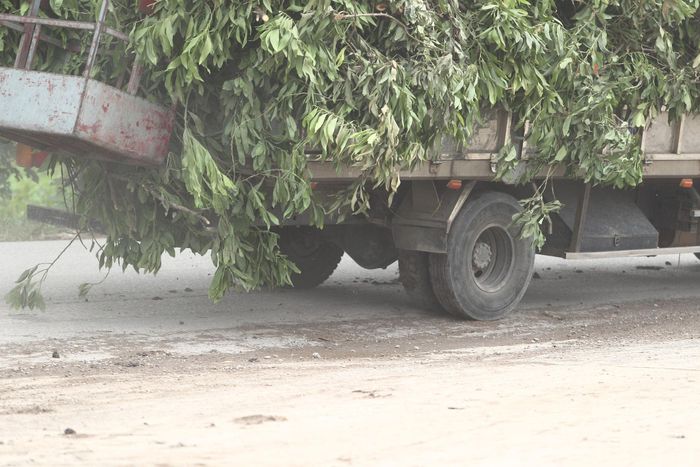 Trong lúc đó, công tác vệ sinh môi trường, quản lý trật tự đô thị trên đường 70 vẫn chưa được quan tâm đúng mức, vi phạm diễn ra nhiều, khiến người dân lo lắng về tâm lý "tạm bợ", bỏ mặc hiện trạng để... chờ dự án.