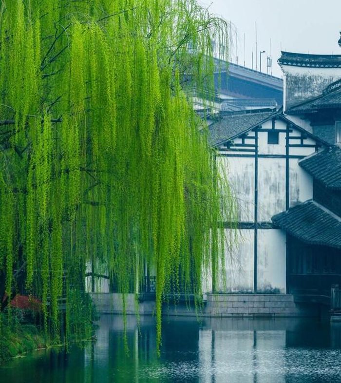 Điểm nổi bật ở những người sinh vào giờ Tuất Âm lịch là tinh thần chịu khó hiếm có. Ảnh minh họa