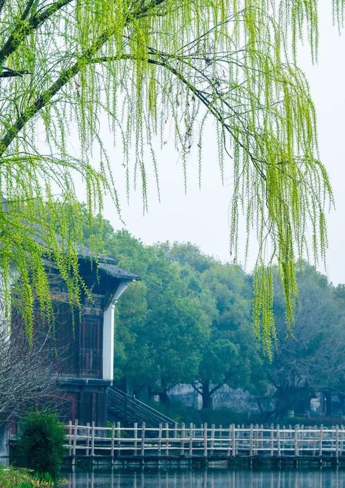 Người sinh vào giờ Ngọ Âm lịch có khả năng chịu áp lực tốt. Khi cuộc sống xuất hiện khó khăn, thay vì than phiền quá lâu, họ thường tìm cách giải quyết vấn đề và nhanh chóng điều chỉnh hướng đi. Ảnh minh họa