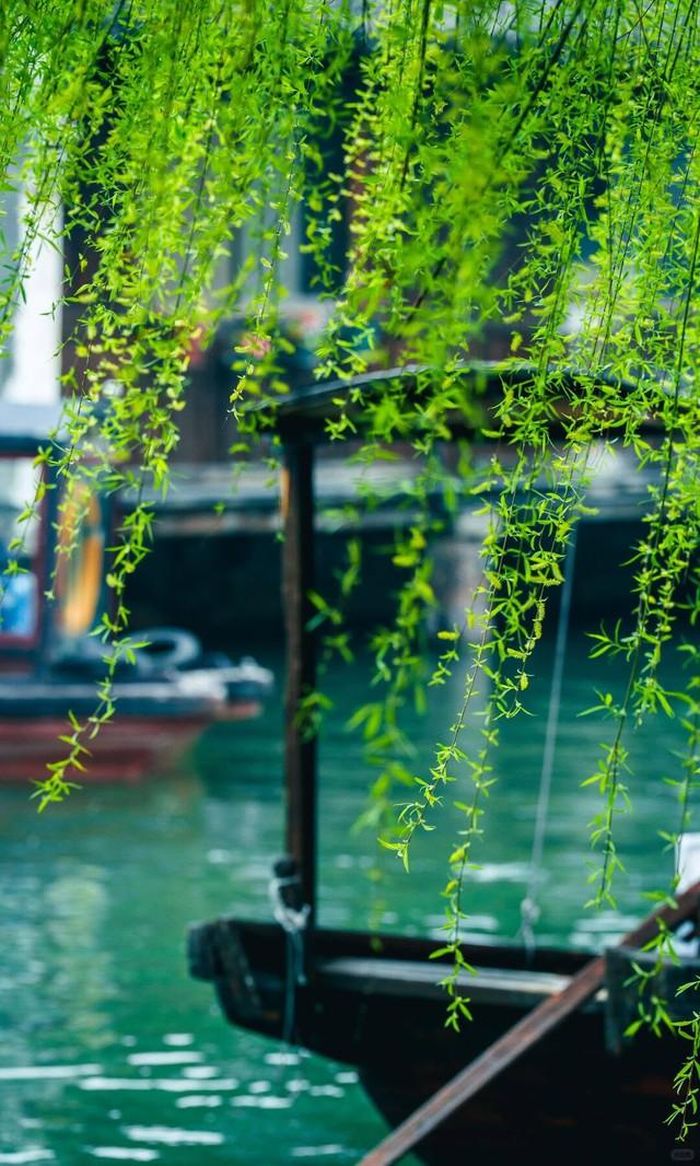 Theo tử vi, tài lộc của người sinh vào giờ Thân Âm lịch thường đến từ chính năng lực và sự chủ động. Ảnh minh họa