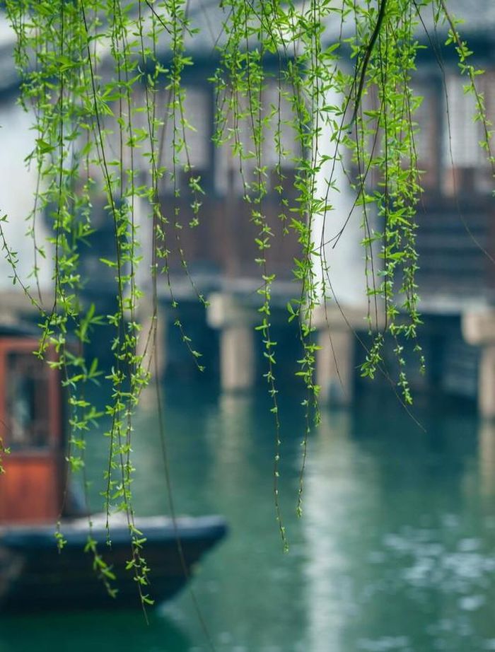 Người sinh vào giờ Dần sẵn sàng đầu tư thời gian, công sức để nâng cao năng lực và chứng minh giá trị của mình. Ảnh minh họa