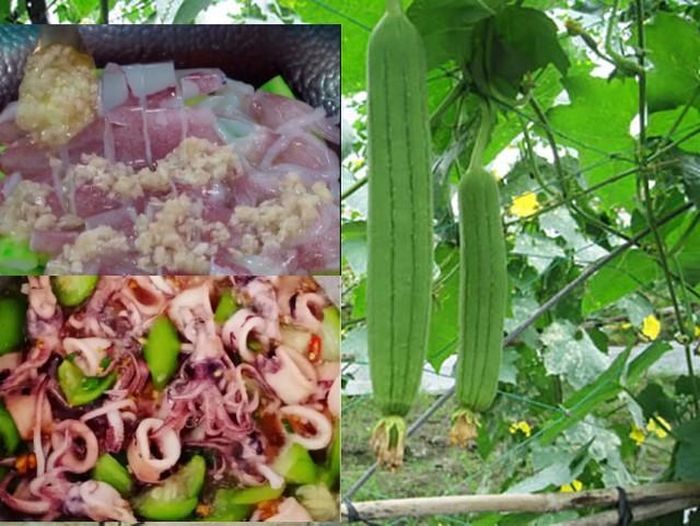 Mực tươi om mướp chế biến không cầu kỳ, không tốn thời gian lại rất ngon miệng. Ảnh internet