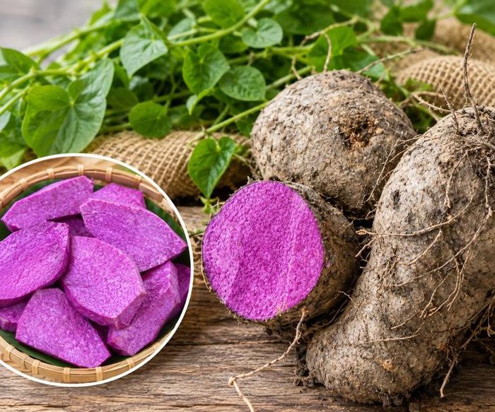 Khoai mỡ có nhiều tác dụng với sức khoẻ. Ảnh AI.