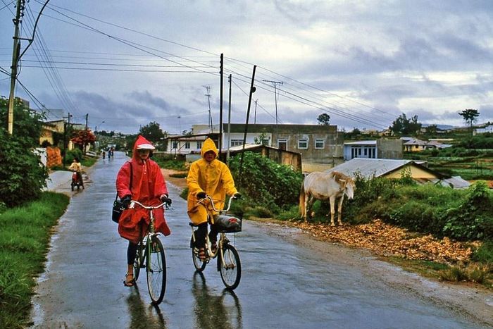 Năm 1996, nhiếp ảnh gia Doi Kuro tiếp tục quay lại Đà Lạt để tìm hiểu nhiều hơn về đời sống của người dân, ngắm nhìn khung cảnh yên bình mỗi buổi sáng tại đây. Thời điểm này, khách du lịch nhiều nhưng chưa quá đông, thỉnh thoảng mới bắt gặp một số nhóm hào hứng đi tham quan.