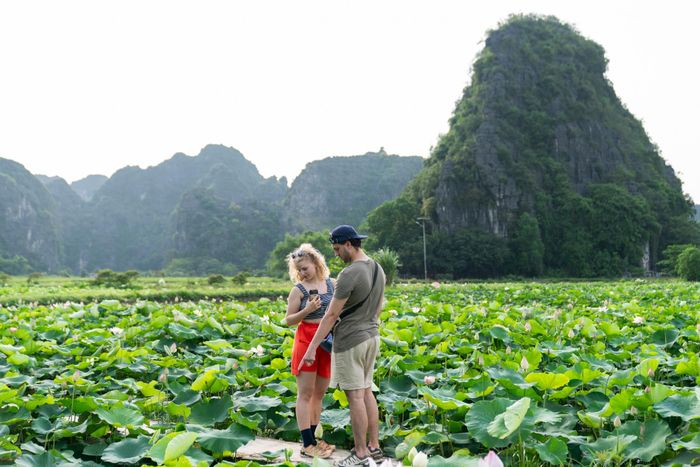  Du khách quốc tế tham quan Tam Cốc - Bích Động, tỉnh Ninh Bình, năm 2025. Ảnh: Linh Huỳnh.