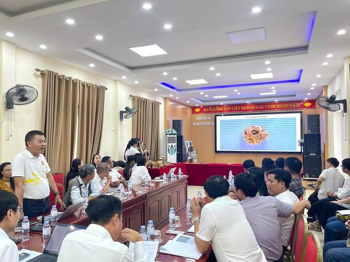 Hội nghị báo cáo kết quả khai quật khẩn cấp dấu tích mộ gạch rú Bụt, xã Kim Liên