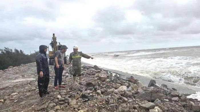 Kiểm tra các tuyến đê ven biển các tỉnh phía bắc. (Ảnh: Cục Quản lý đê điều và Phòng, chống thiên tai)