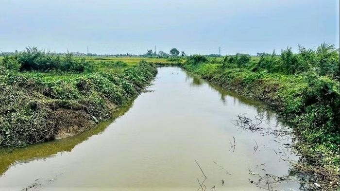 Một đoạn sông ở xã Yên Thành đã được thu vớt bèo tây xong tiêu úng tốt trong mùa mưa. (Ảnh: CTV)