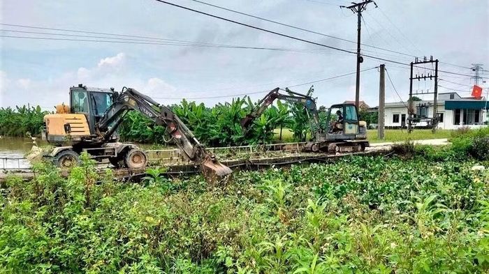 Dùng máy để thu vớt bèo tây ở xã Quảng Châu. (Ảnh: CTV)