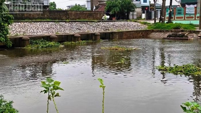 Nước mưa đang thoát ra biển qua các cống điều tiết ở Thanh Hóa. (Ảnh: MAI LUẬN)
