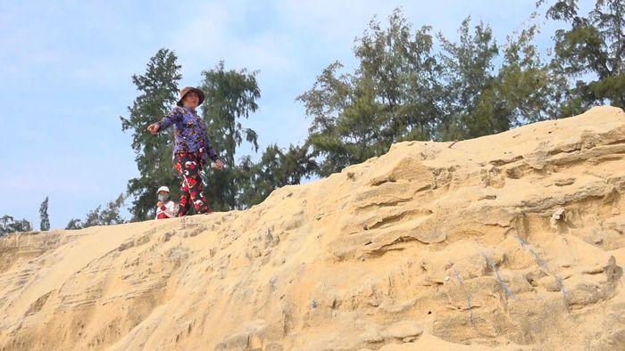  Những vách cát cao 3-5m hình thành do triều cường xâm thực. Ảnh: NGUYỄN TRANG 
