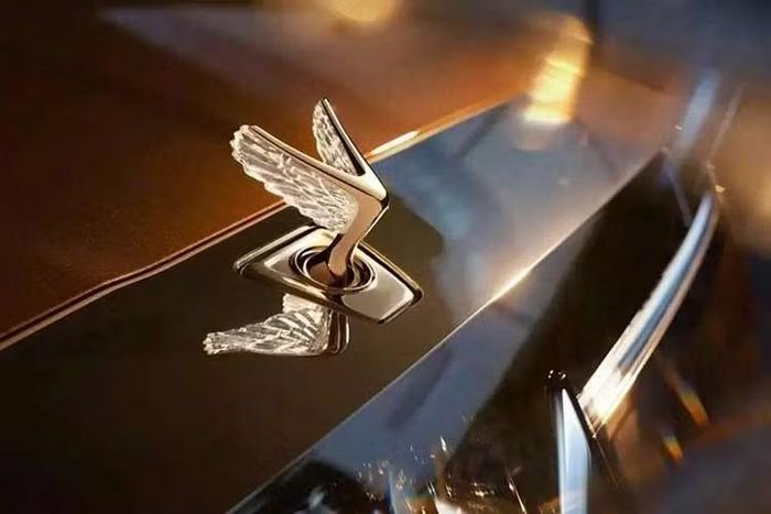 Dream 9 có thiết kế thân xe hai tông màu đồng thời cung cấp 6 lựa chọn gồm vàng Amber Gold, đỏ Imperial Red, tím Sunset Purple, trắng Iris White, đen Obsidian Black và xanh ngọc Moonbeam Cyan.