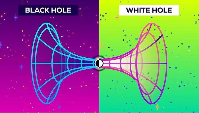Ảnh: thescientificteen