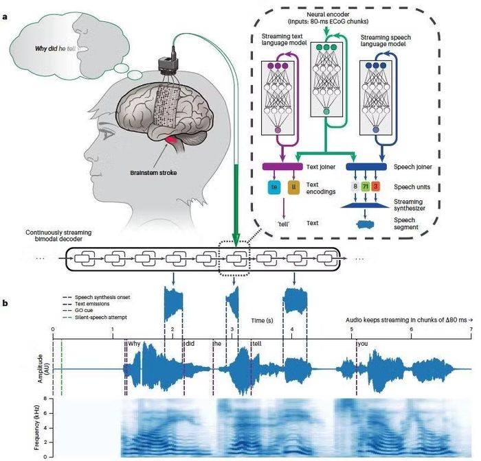 AI có thể giải mã lời nói và cử chỉ khi chúng được thực hiện đồng thời.