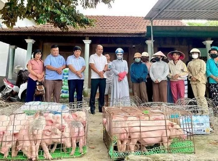 Xã A Lưới 1, TP Huế triển khai các mô hình sinh kế gắn với thế mạnh của địa phương như nuôi lợn thịt.