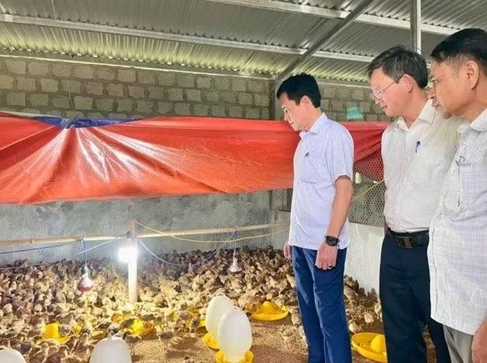 Lãnh đạo xã A Lưới 1 thăm mô hình nuôi gia cầm ở các hộ DTTS.