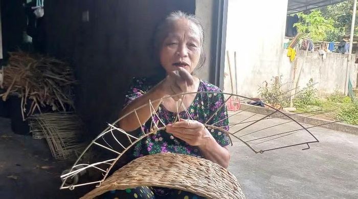 Từ nghề đàn bèo tây đã mang lại thu nhập ổn định cho bà Nguyễn Thị Dậu. Ảnh: Đinh Thắm