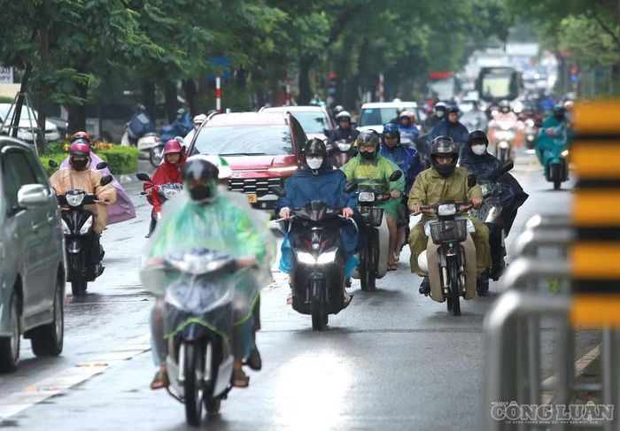 Theo phương án được Sở Xây dựng Hà Nội đưa ra, các loại phương tiện được phép lưu thông vào làn BRT theo hướng Láng Hạ - Giảng Võ, đoạn từ số 8 Láng Hạ đến khu vực giao với đường Trần Huy Liệu. Theo chiều Giảng Võ - Láng Hạ, các loại phương tiện cũng được phép lưu thông vào làn BRT, đoạn từ đường Trần Huy Liệu đến số 8 Láng Hạ.