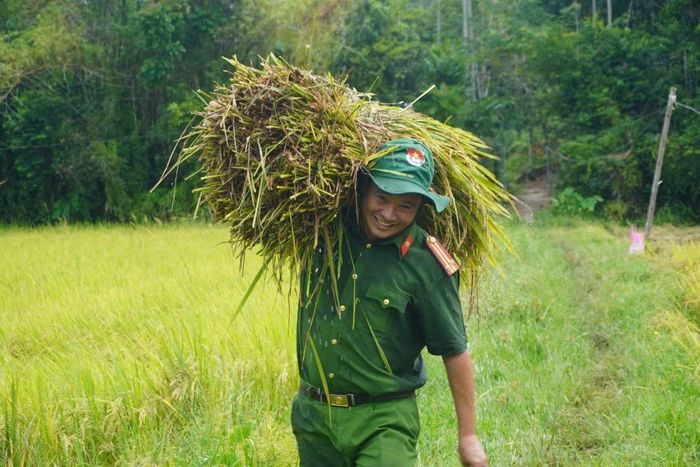  Các cán bộ chiến sĩ không ngại khó, từ lội ruộng cắt, gom, vận chuyển lên bờ... 