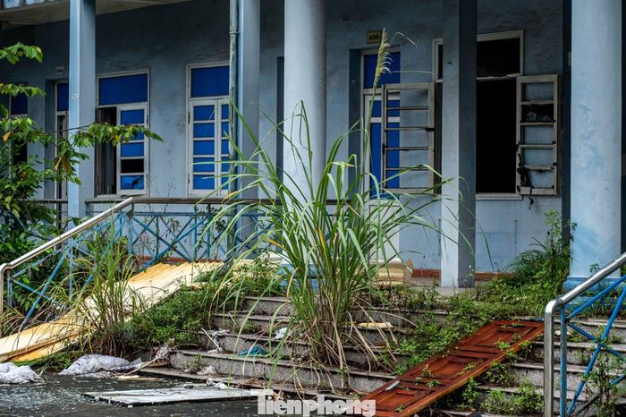 Sau thời gian dài không có người ở, cỏ dại đã mọc kín lối đi lên khu nhà điều hành.