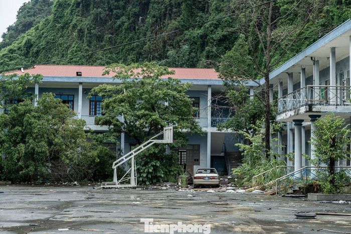 Nằm ngay đối diện sân bóng là khối tòa nhà điều hành và là nơi ở, sinh hoạt của cả ban huấn luyện cùng các cầu thủ cũng trong tình trạng bỏ hoang, xuống cấp.