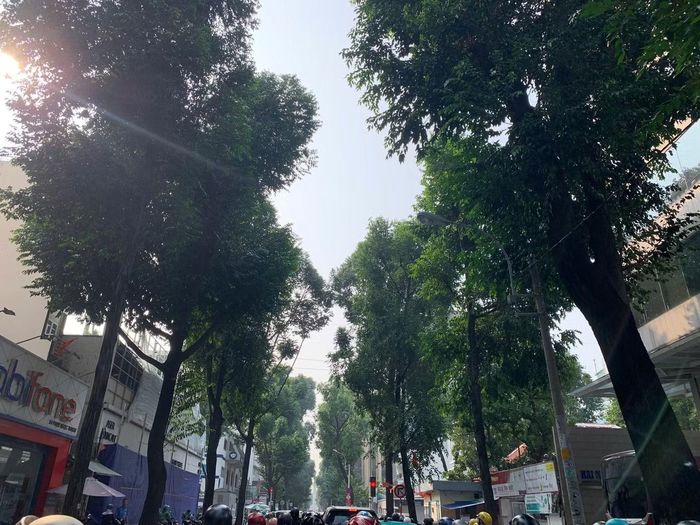 Đường Phạm Ngọc Thạch (phường Xuân Hòa) bị bao phủ bởi sương mù. Ảnh: Anh Nhàn.
