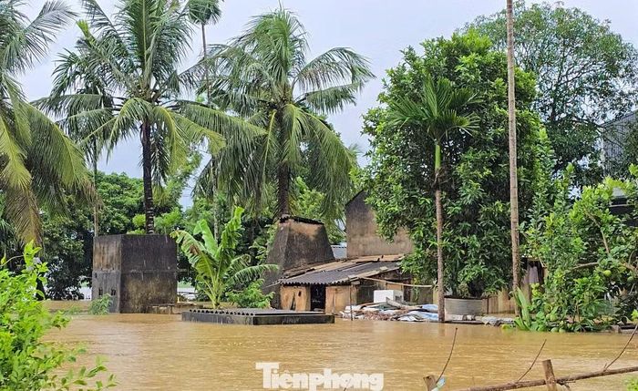 Theo ghi nhận, hàng trăm hộ dân sống dọc Tỉnh lộ 523, và Quốc lộ 217B, đoạn từ xã Kim Tân đến xã Thành Vinh (tỉnh Thanh Hóa) bị ngập sâu. Một số hộ dân có nhà cao tầng kiên cố thì chủ động di chuyển lên tầng cao, các hộ còn lại bị ngập sâu phải di chuyển đến nơi an toàn; nhiều khu dân cư bị cô lập. Hiện tại, ở các địa phương này đang xảy ra mưa lớn, nước sông Bưởi tiếp tục dâng cao.