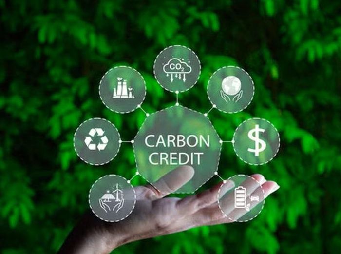 Theo quyết định thành lập Tổ công tác liên ngành của UBND thành phố Hà Nội, các sở, ngành không chỉ thực hiện nhiệm vụ giảm phát thải trong lĩnh vực quản lý mà còn phải xác định các cơ sở thuộc diện kiểm kê, xây dựng kế hoạch giảm phát thải...