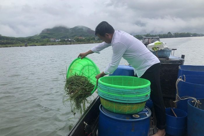 Việc lựa chọn các khu bảo vệ nguồn lợi thủy sản làm địa điểm tái tạo cũng góp phần tạo những vùng sinh thái thuận lợi để các loài thủy sản trú ngụ, sinh trưởng.