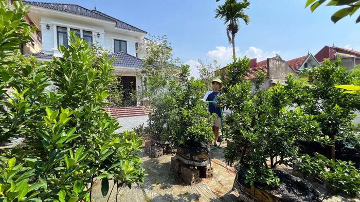 Anh Đức về quê nhưng không rời phố để được ở gần gia đình, tận hưởng không khí trong lành mà vẫn duy trì được công việc
