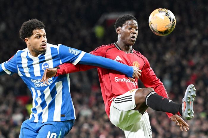Brighton tự tin hành quân đến Old Trafford - Ảnh: BHA
