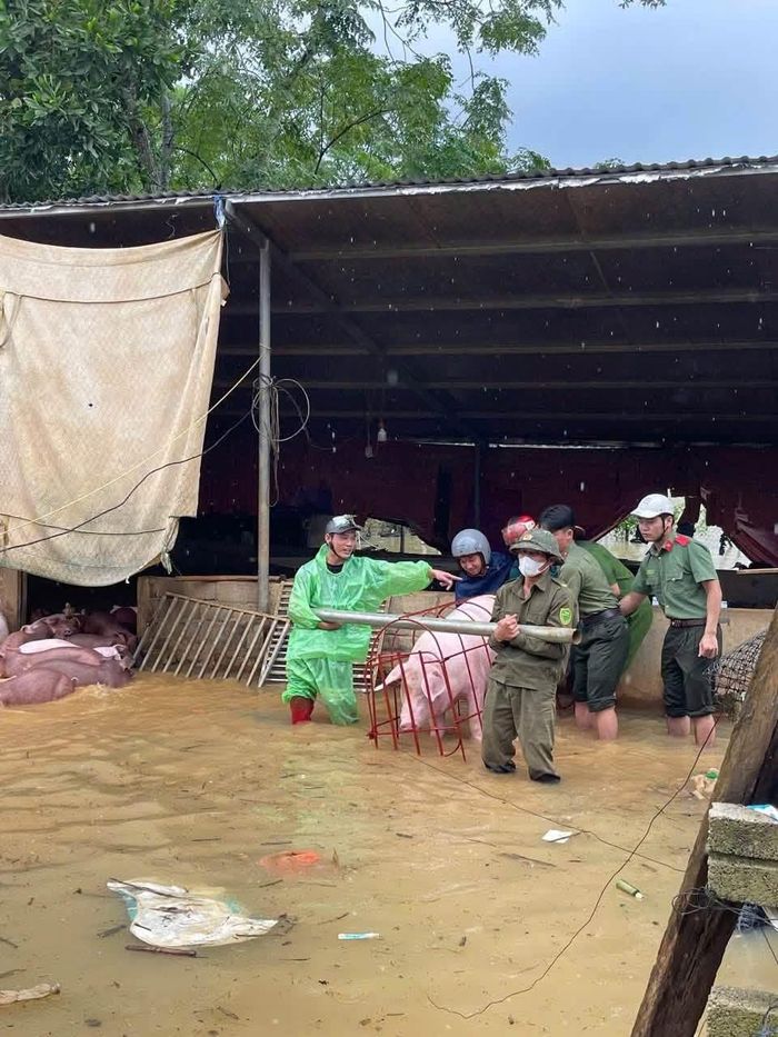 Lực lượng chức năng hỗ trợ người dân di chuyển tài sản, vật nuôi đến nơi an toàn