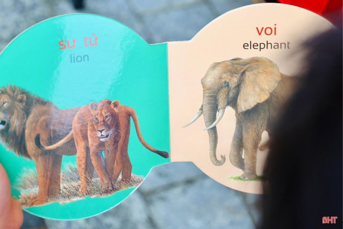 Các kệ sách được bố trí gọn gàng, vừa tầm, giúp các em dễ dàng quan sát và tìm được những cuốn sách mình quan tâm.