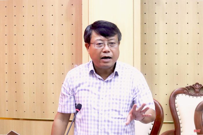 Đồng chí Dương Tất Thắng - Phó Chủ tịch Thường trực HĐND tỉnh phát biểu chỉ đạo tại cuộc làm việc.