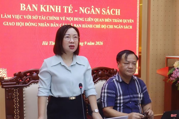 Đồng chí Nguyễn Thị Thúy Nga - Trưởng ban Kinh tế - Ngân sách HĐND tỉnh kết luận cuộc làm việc.