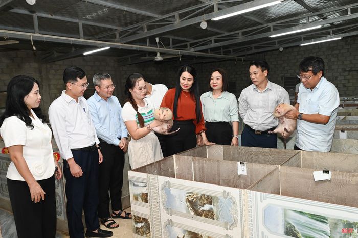 Phó Chủ tịch Thường trực HĐND tỉnh Dương Tất Thắng cùng các đại biểu đến khảo sát mô hình nuôi dúi má đào...