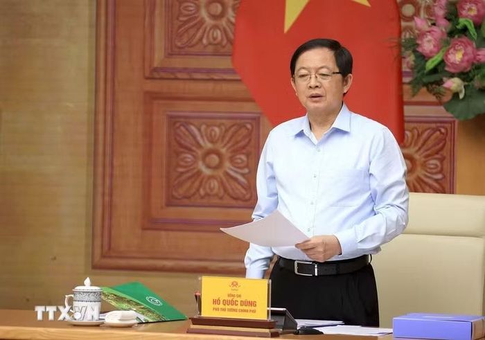 Phó Thủ tướng Hồ Quốc Dũng phát biểu. (Ảnh: Tuấn Anh/TTXVN)